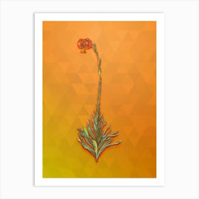 Vintage Scarlet Martagon Lily Botanical Art on Tangelo n.1130 Art Print