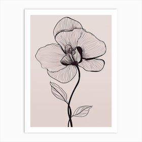 Line Art Orchids Flowers Illustration Neutral 14 Art Print