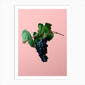 Vintage Grape Vine Botanical on Soft Pink n.0031 Art Print