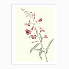 Pink Flowers Art Print