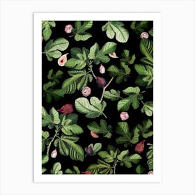 Fig Leaves Art Print