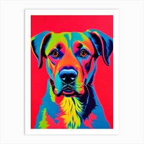Boykin Spaniel Andy Warhol Style Dog Art Print