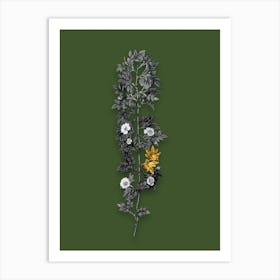 Vintage Cuspidate Rose Black and White Gold Leaf Floral Art on Olive Green n.0750 Art Print