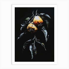 Two Oranges On A Branch Art Print