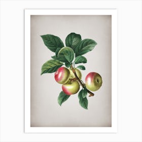 Vintage Apple Botanical on Parchment n.0610 Art Print