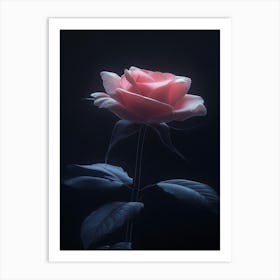 Pink Rose 77 Art Print