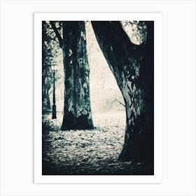 Lamppost In Woodland Clearing Art Print