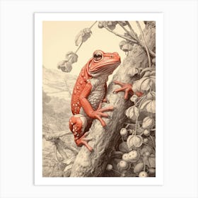 Red Tree Frog Vintage Botanical 9 Art Print