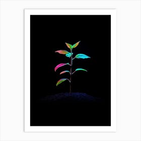 Plant Growing In The Dark 20 Art Print