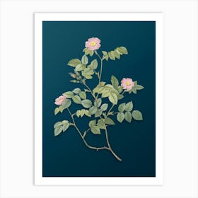 Vintage Sweetbriar Rose Botanical Art on Teal Blue n.0518 Art Print