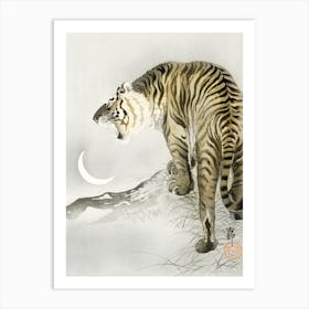 Roaring tiger Art Print
