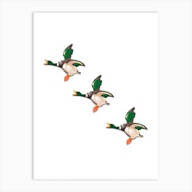 Three Porcelain Ducks In Flight Art Print