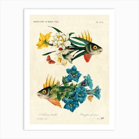 Flower Fish Art Print