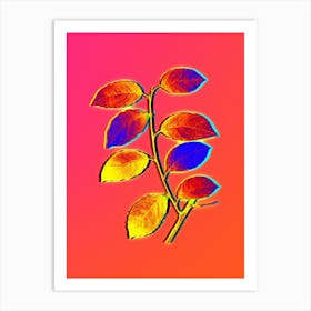 Neon Eared Willow Botanical in Hot Pink and Electric Blue n.0437 Art Print