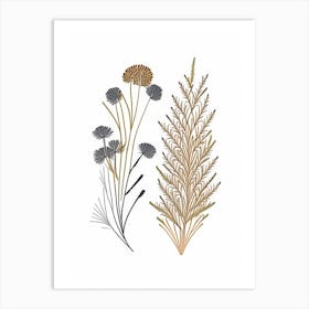 Caraway Seeds Spices And Herbs Minimal Line Drawing 3 Art Print