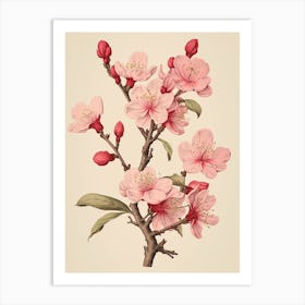 Sakura Cherry Blossom 1 Vintage Japanese Botanical Art Print