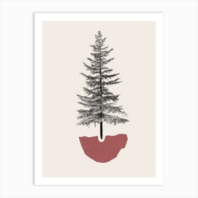 Fir Pine Art Print