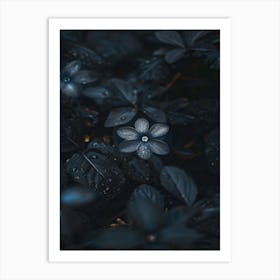 Dark Flowers Art Print