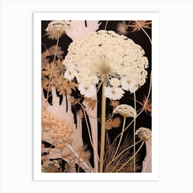 Flower Illustration Queen Annes Lace 1 Art Print