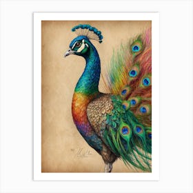 Peacock 5 Art Print