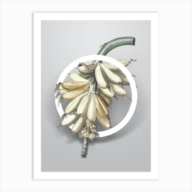 Vintage Banana Minimalist Flower Geometric Circle on Soft Gray n.0241 Art Print