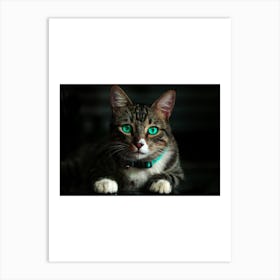 Cat With Green Eyes Art Print