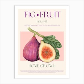 Fig Fruit Mid Century Art Print