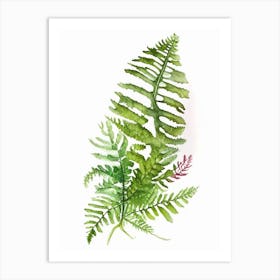Evergreen Fern Wildflower Watercolour 2 Art Print