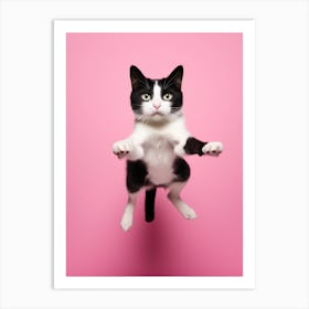 Cat Jumping On Pink Background 1 Art Print