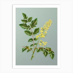 Vintage Golden Rain Tree Botanical Art on Mint Green n.0610 Art Print