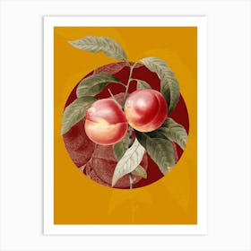 Vintage Botanical Peach on Circle Red on Yellow n.0255 Art Print