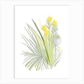 Lemon Grass Spices And Herbs Pencil Illustration 4 Art Print