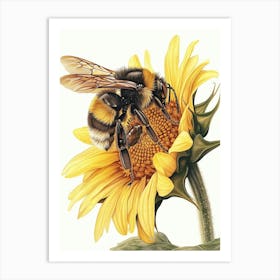 Carpenter Bee Storybook Illustration 6 Art Print