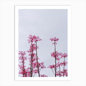 Pink Trees Against A Cloudy Sky Art Print