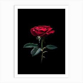 Red Rose On Black Background 42 Art Print