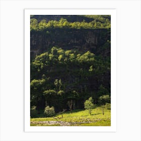 Horses In A Valley Art Print