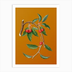 Vintage Cherry Botanical on Sunset Orange n.0930 Art Print