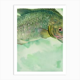 Goliath Grouper Storybook Watercolour Art Print