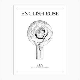 English Rose Key Line Drawing 3 Poster Art Print