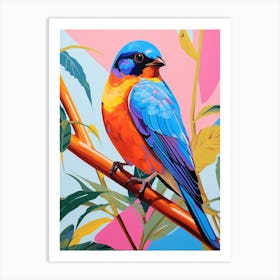 Colourful Bird Painting Barn Swallow 4 Art Print