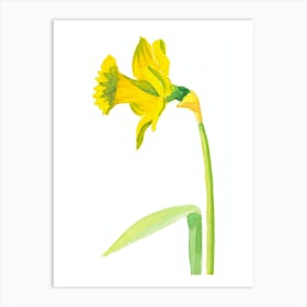 Daffodil Painting Art Print