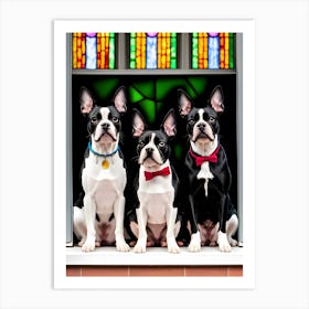 Three Boston Terriers Art Print