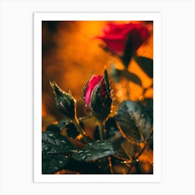 Poster Flower Art Print 16 Art Print