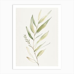 Willow Leaf Minimalist Watercolour 5 Art Print