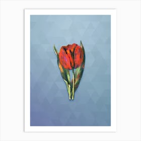 Vintage Gesner's Tulip Branch Botanical Art on Summer Song Blue n.0149 Art Print