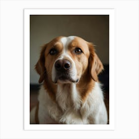 Golden Retriever Art Print