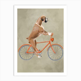 Boxer On Bicycle Art Print