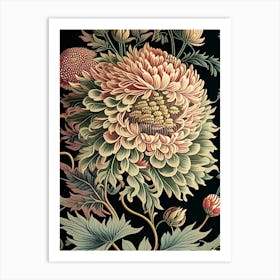 Chrysanthemum 1 Floral Botanical Vintage Poster Flower Art Print