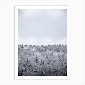 White Winter Forest Art Print