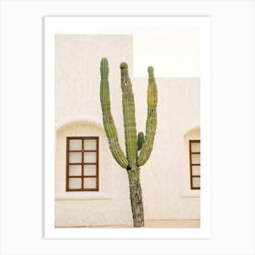 Cactus 2 Art Print